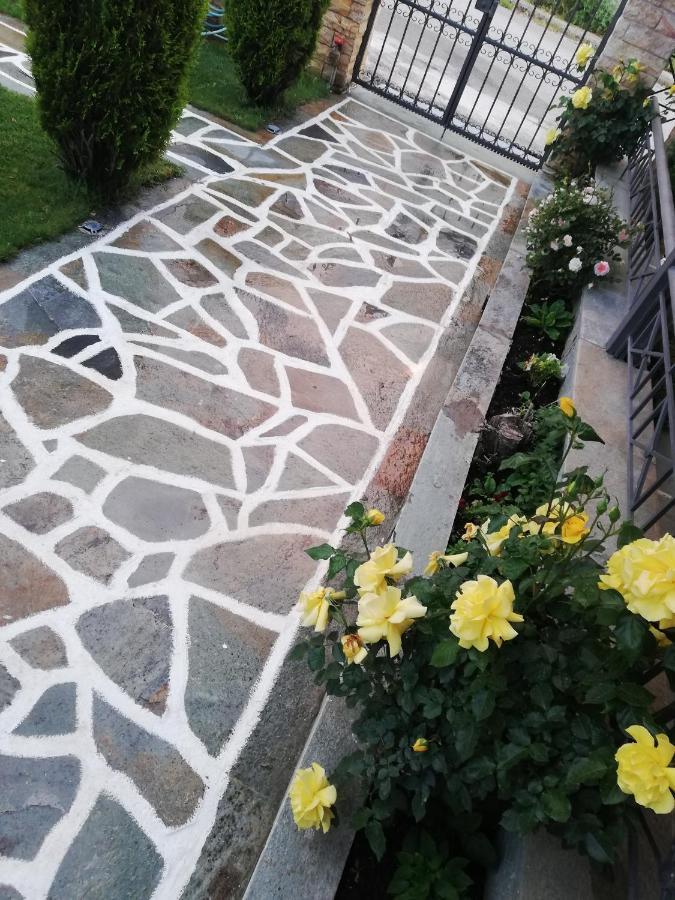 Voula Home -Ioannina-Neokesaria Exterior foto